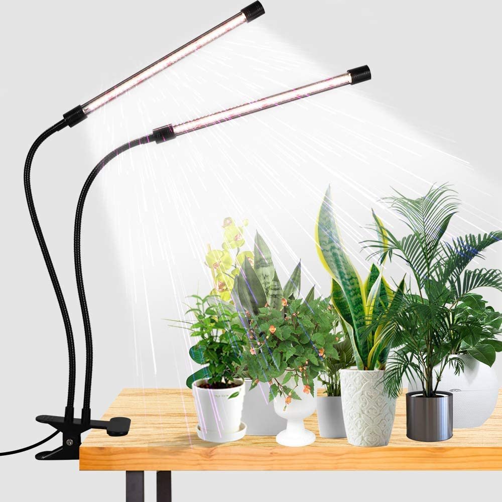 DAKASON LED Grow Light - Succulents Plants